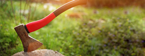 Vivre au pays de la mouche noire et du pin