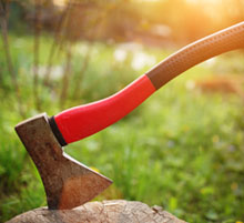 Vivre au pays de la mouche noire et du pin
