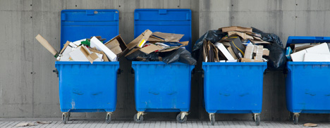 Manger dans les poubelles est un acte politique