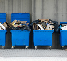 Manger dans les poubelles est un acte politique