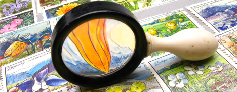 Ramasseux de roches et de femmes toutes nues