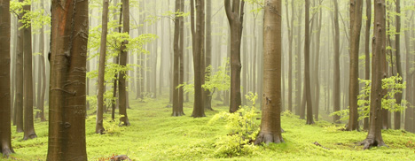 Du silence et du bruit